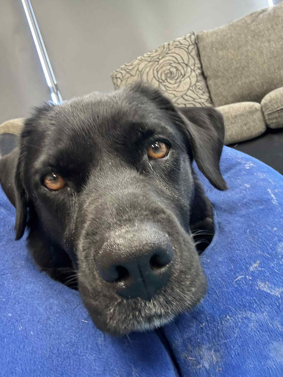 Gallery image: Jewels