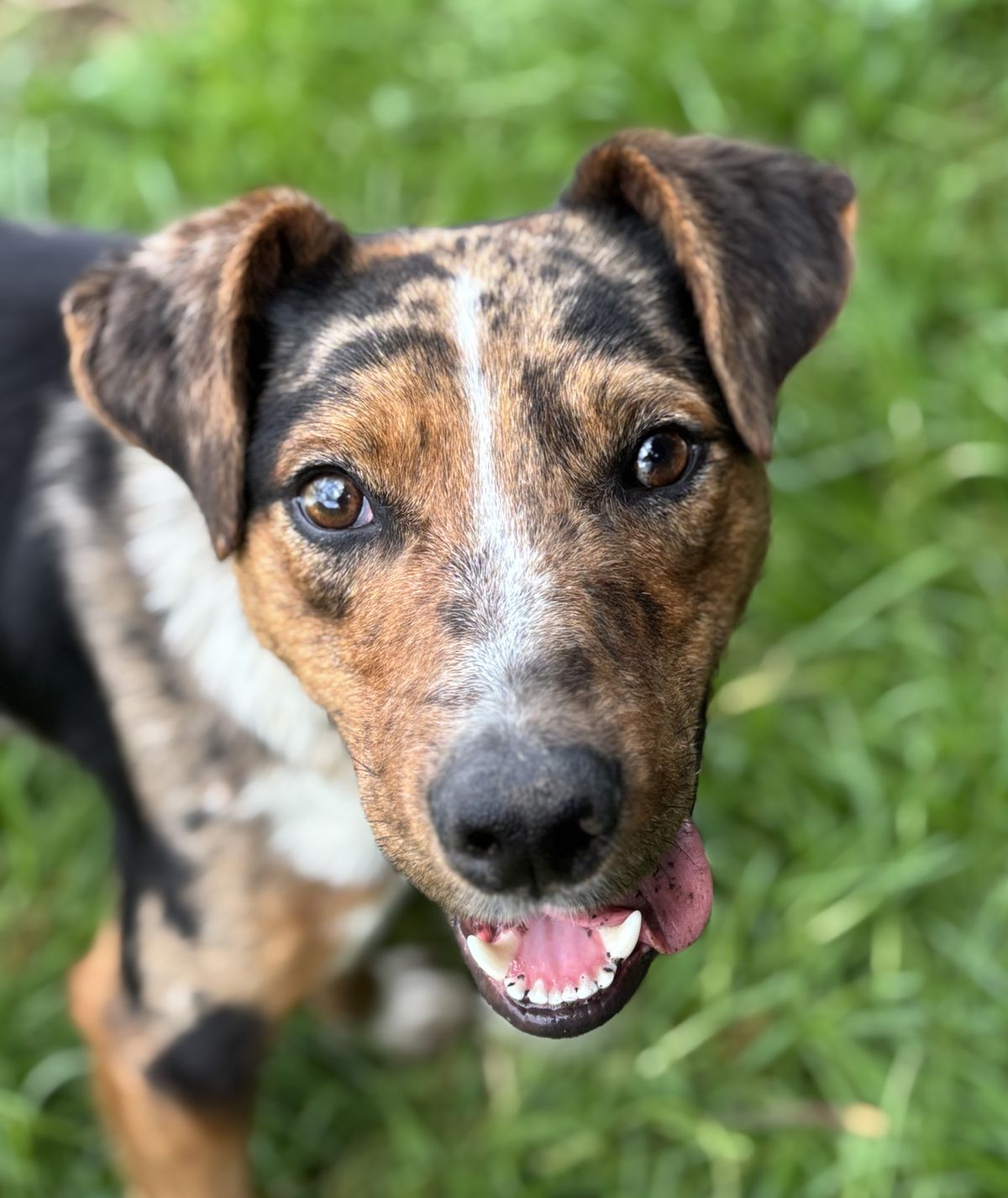 Gallery image: Diego