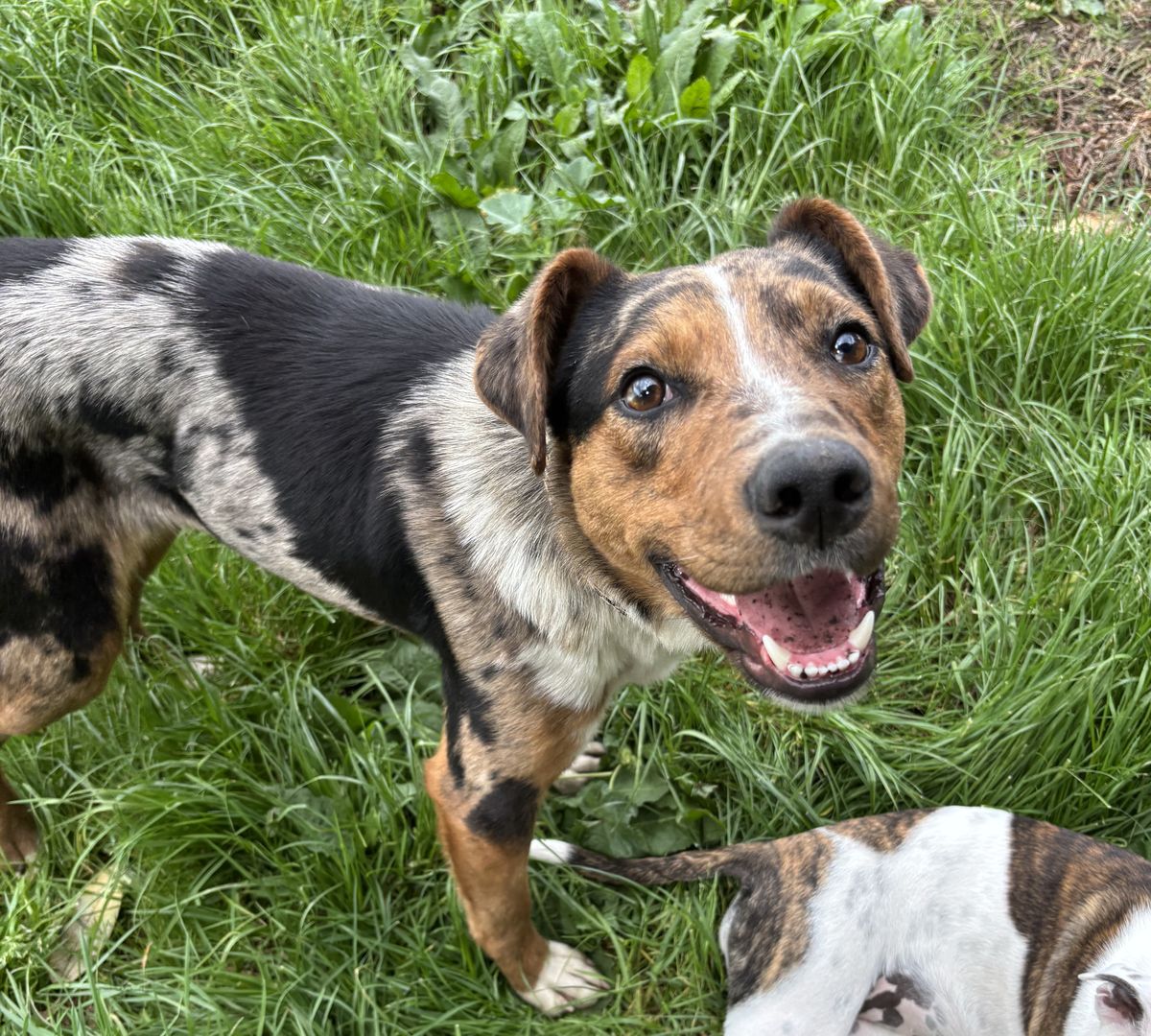 Gallery image: Diego