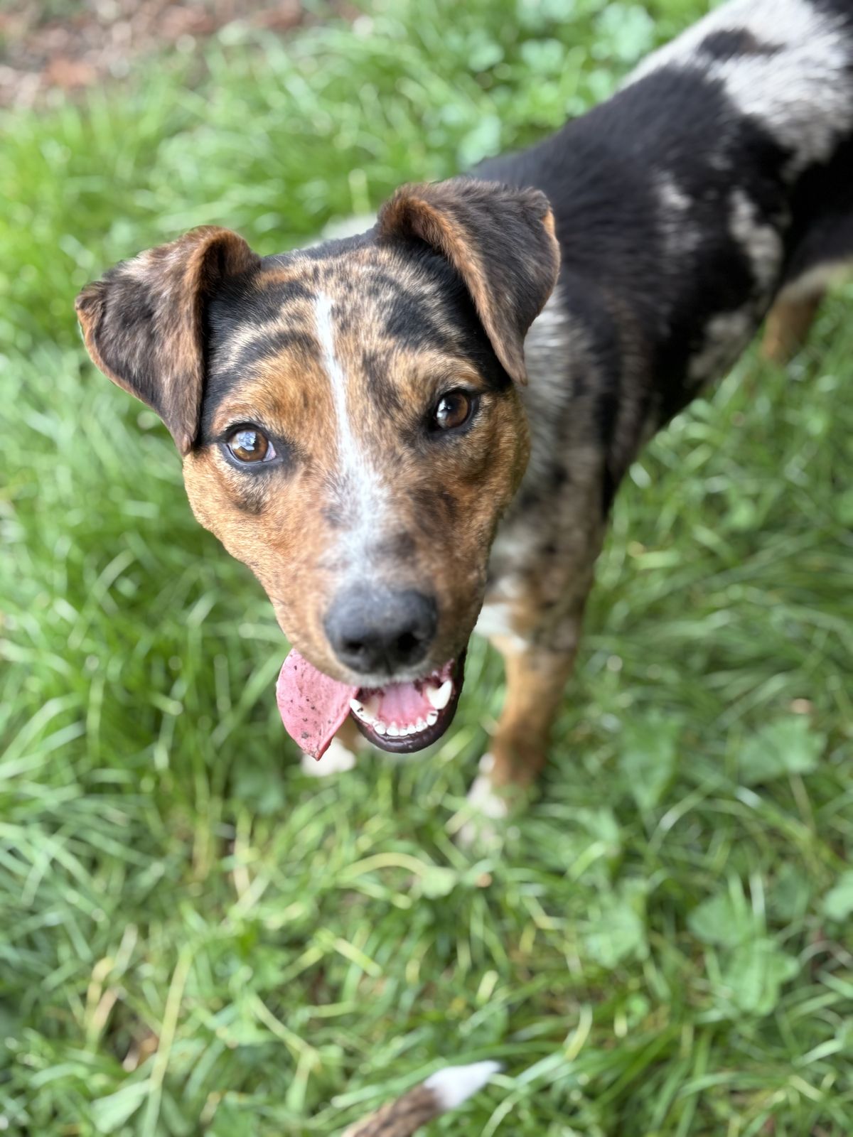 Gallery image: Diego