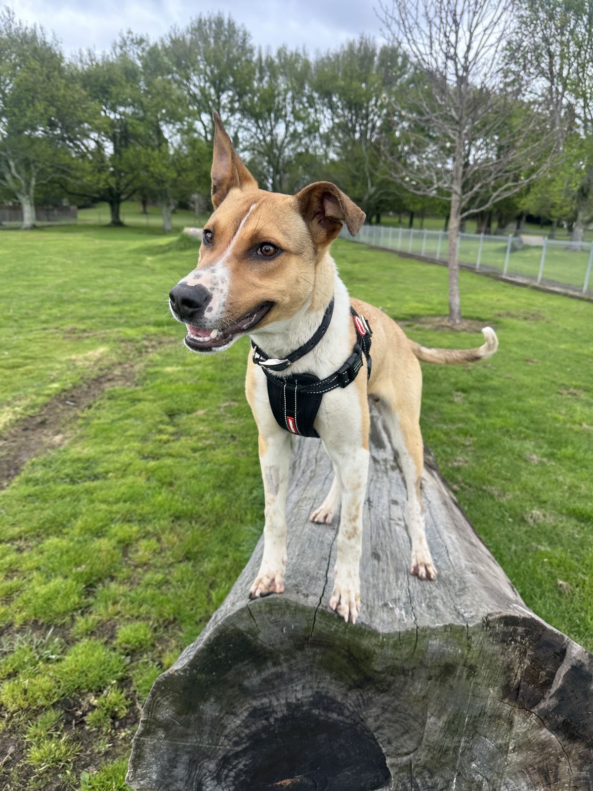 Gallery image: Johnny