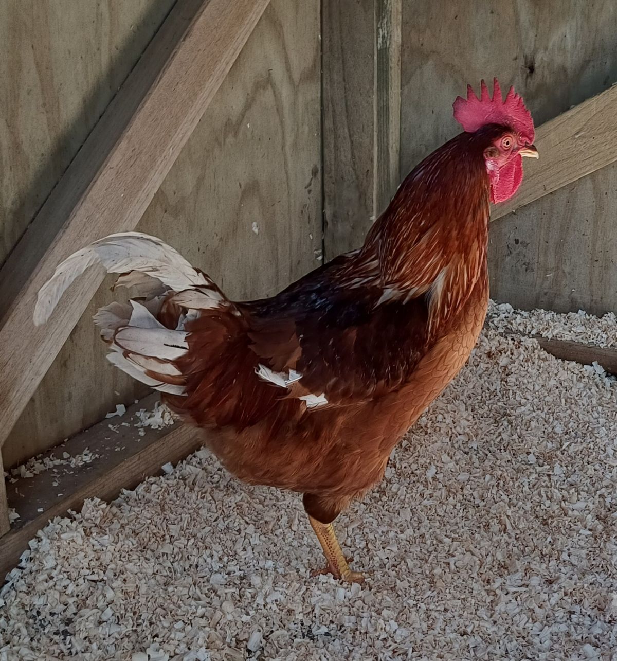 Gallery image: Malvern