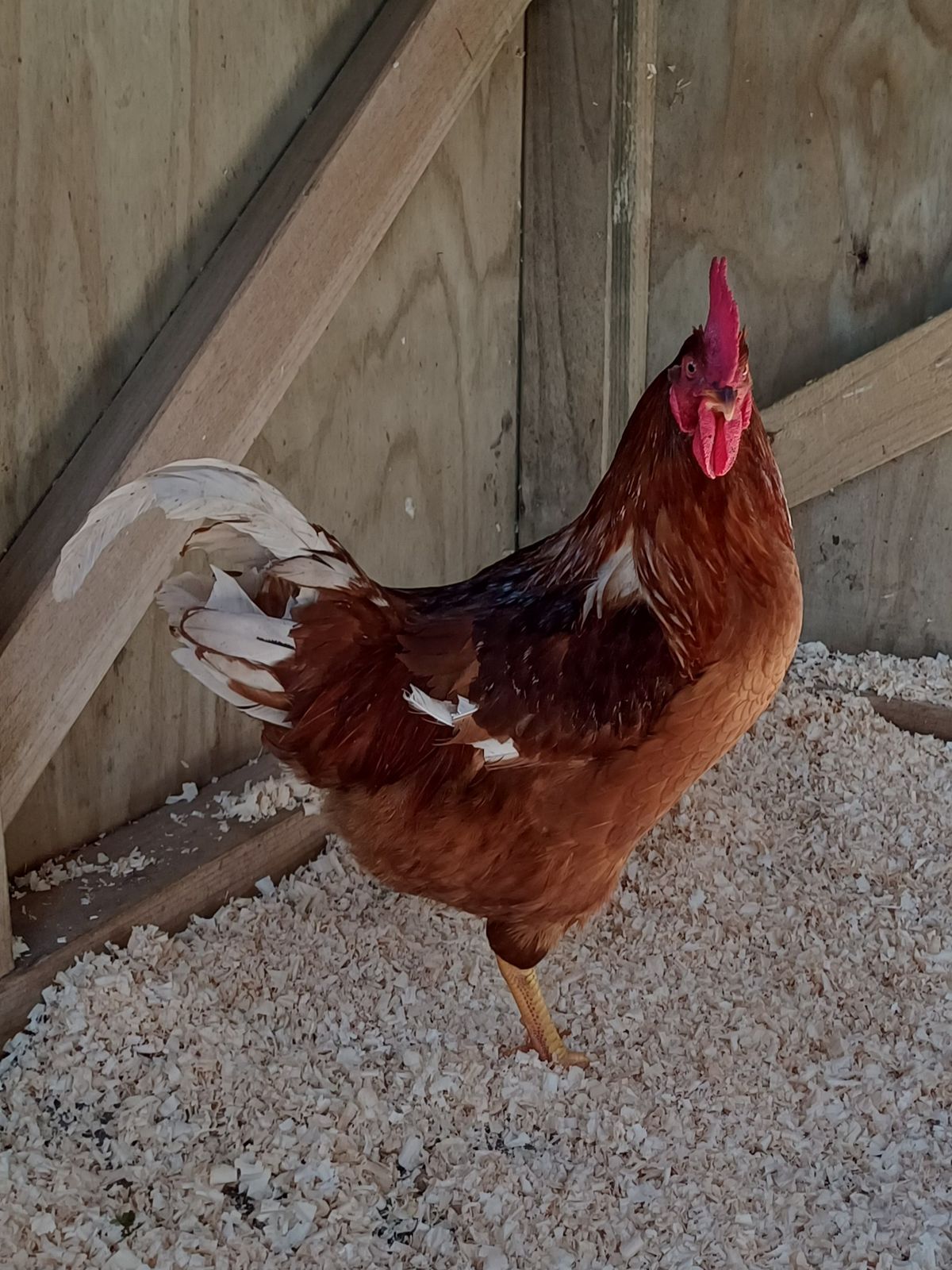 Gallery image: Malvern