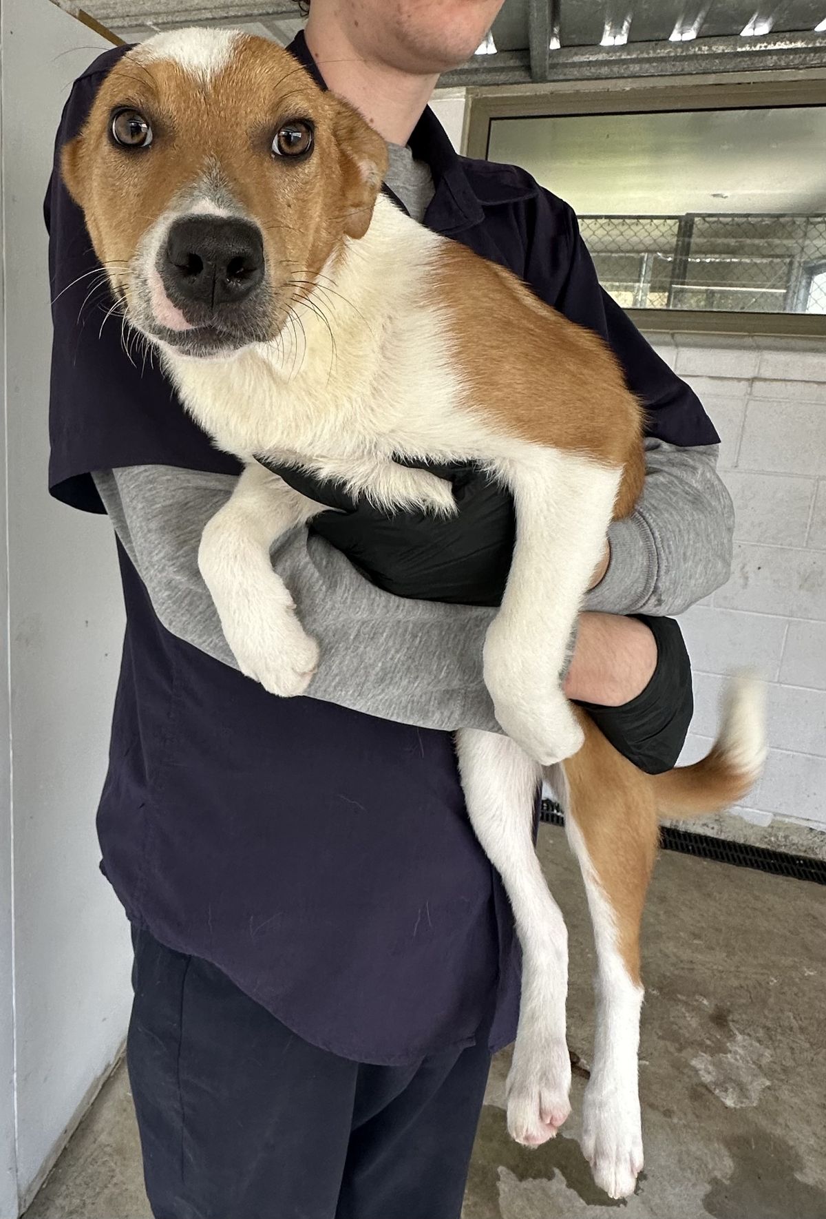 Gallery image: Fudge