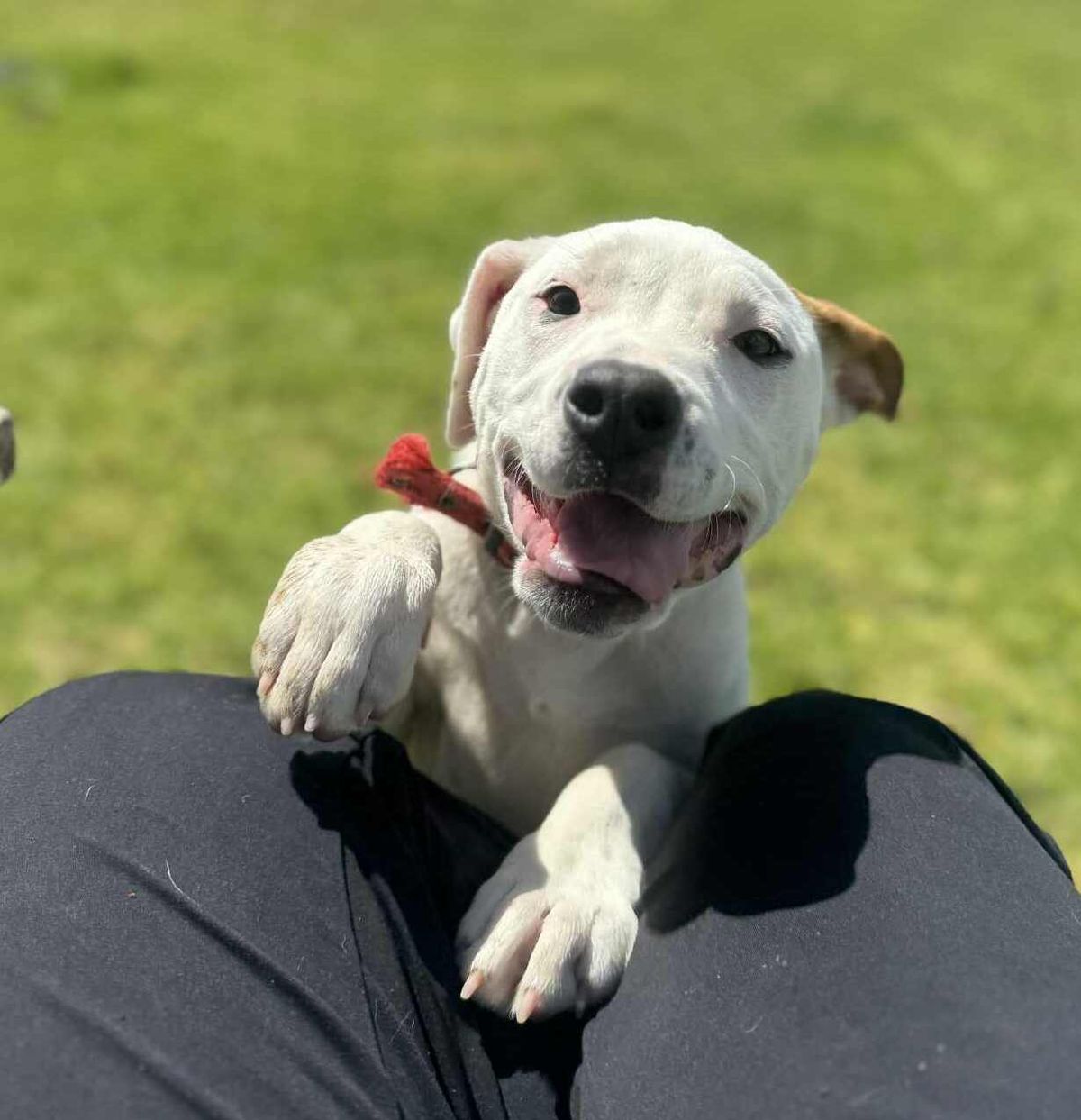 Gallery image: Storm