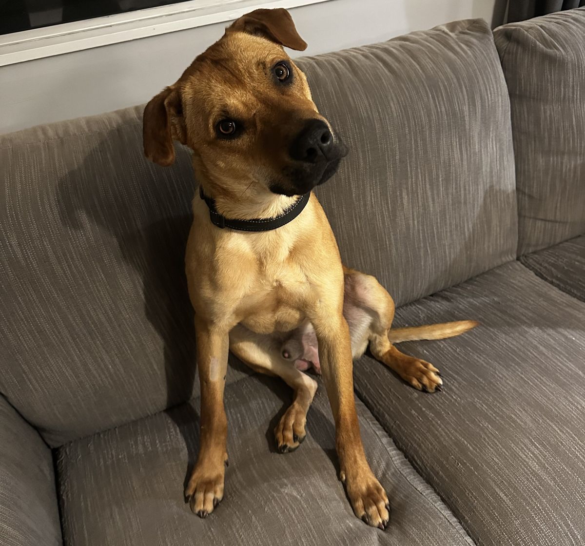 Gallery image: Stanley