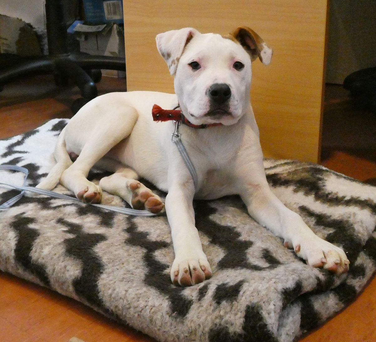 Gallery image: Storm