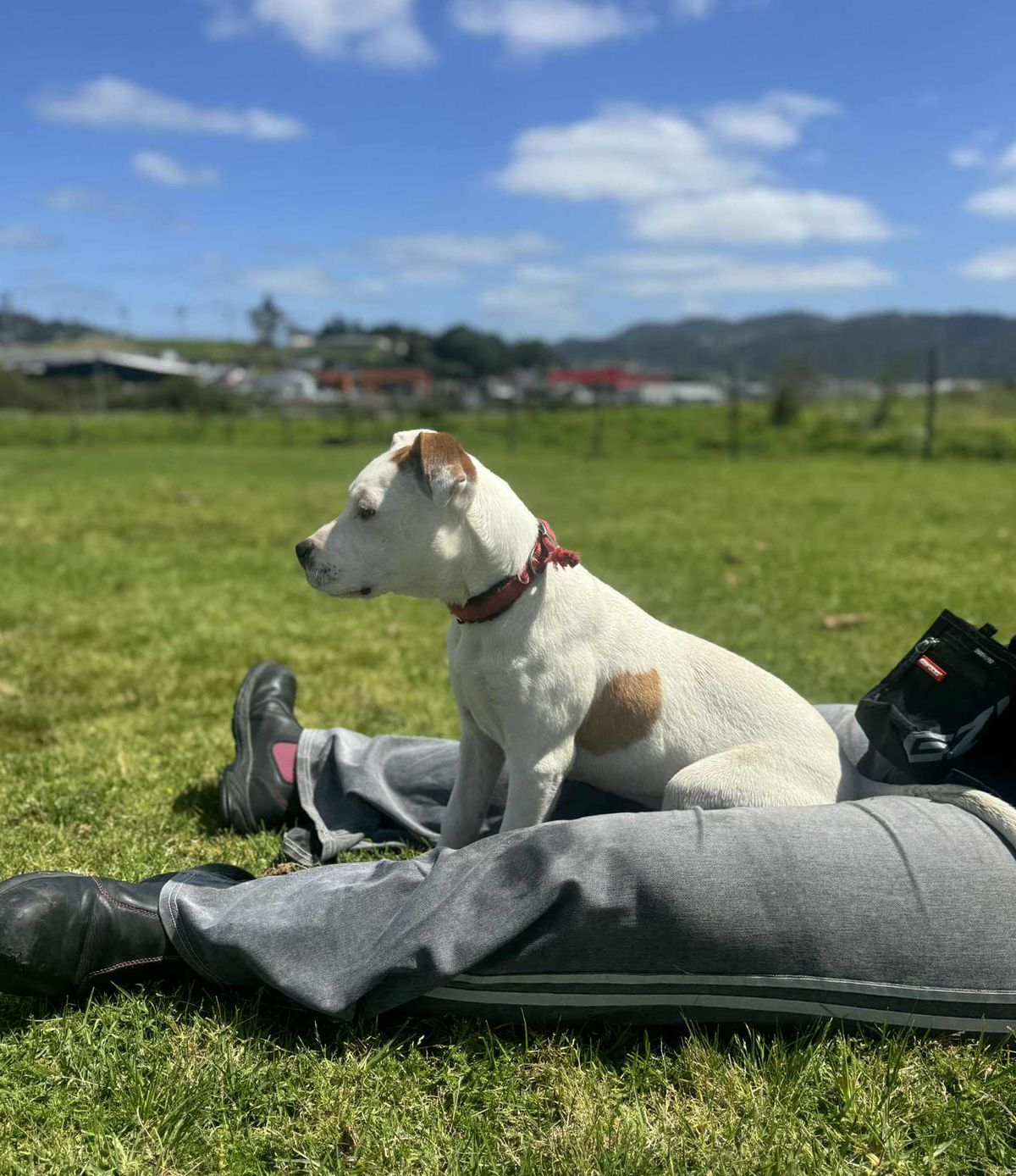 Gallery image: Storm