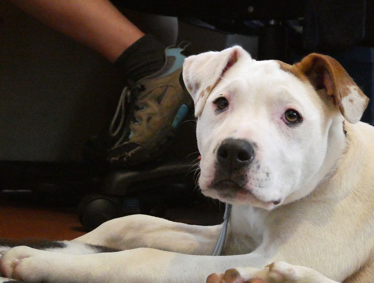 Gallery image: Storm