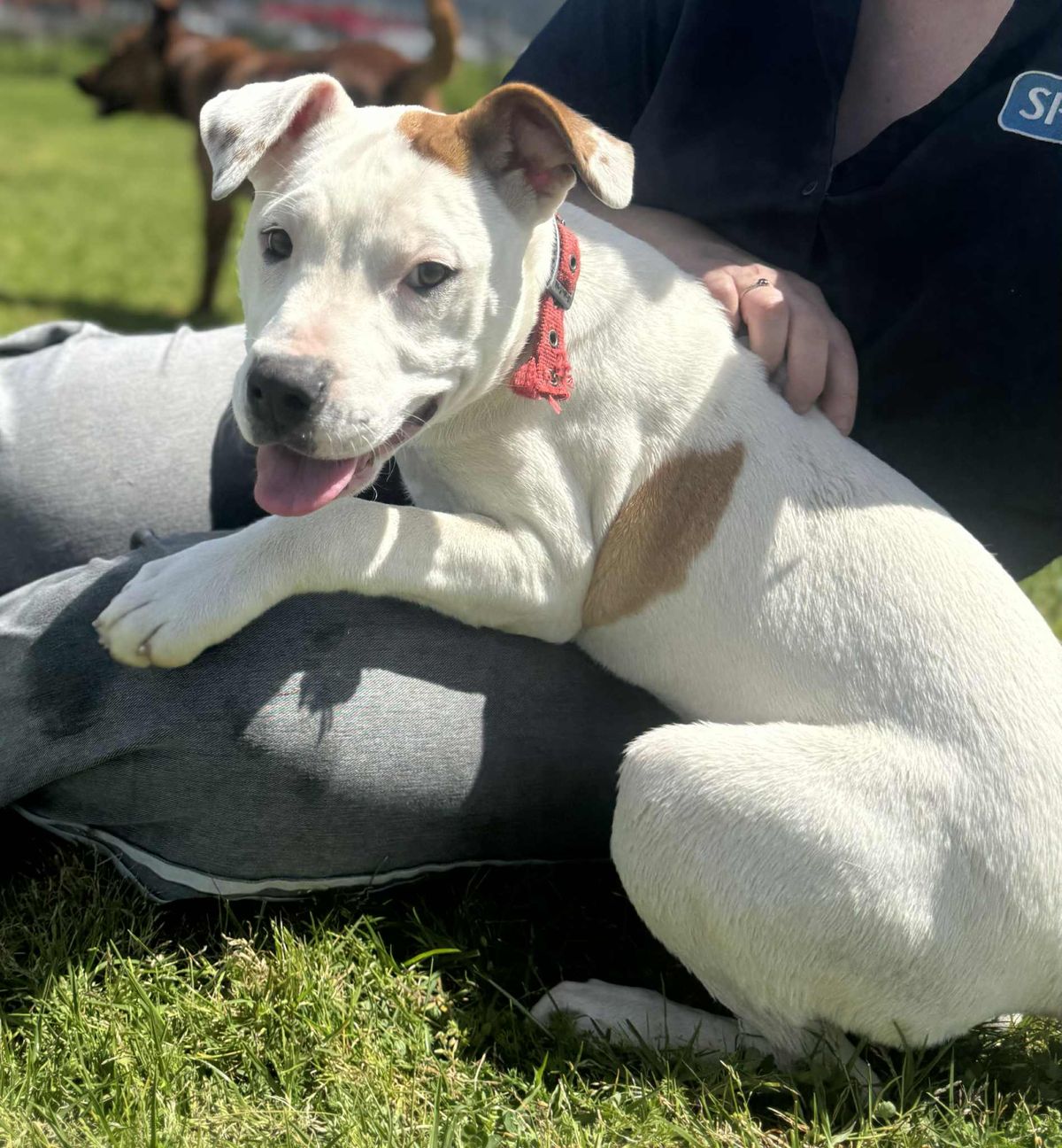 Gallery image: Storm