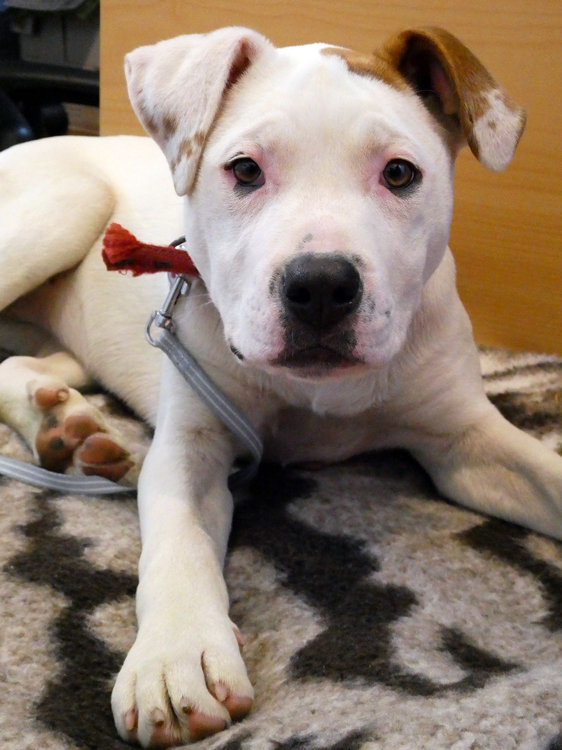 Gallery image: Storm