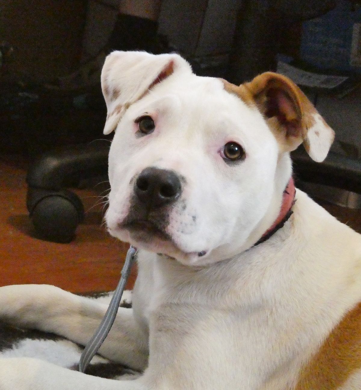 Gallery image: Storm