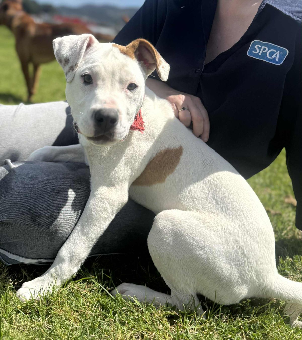 Gallery image: Storm