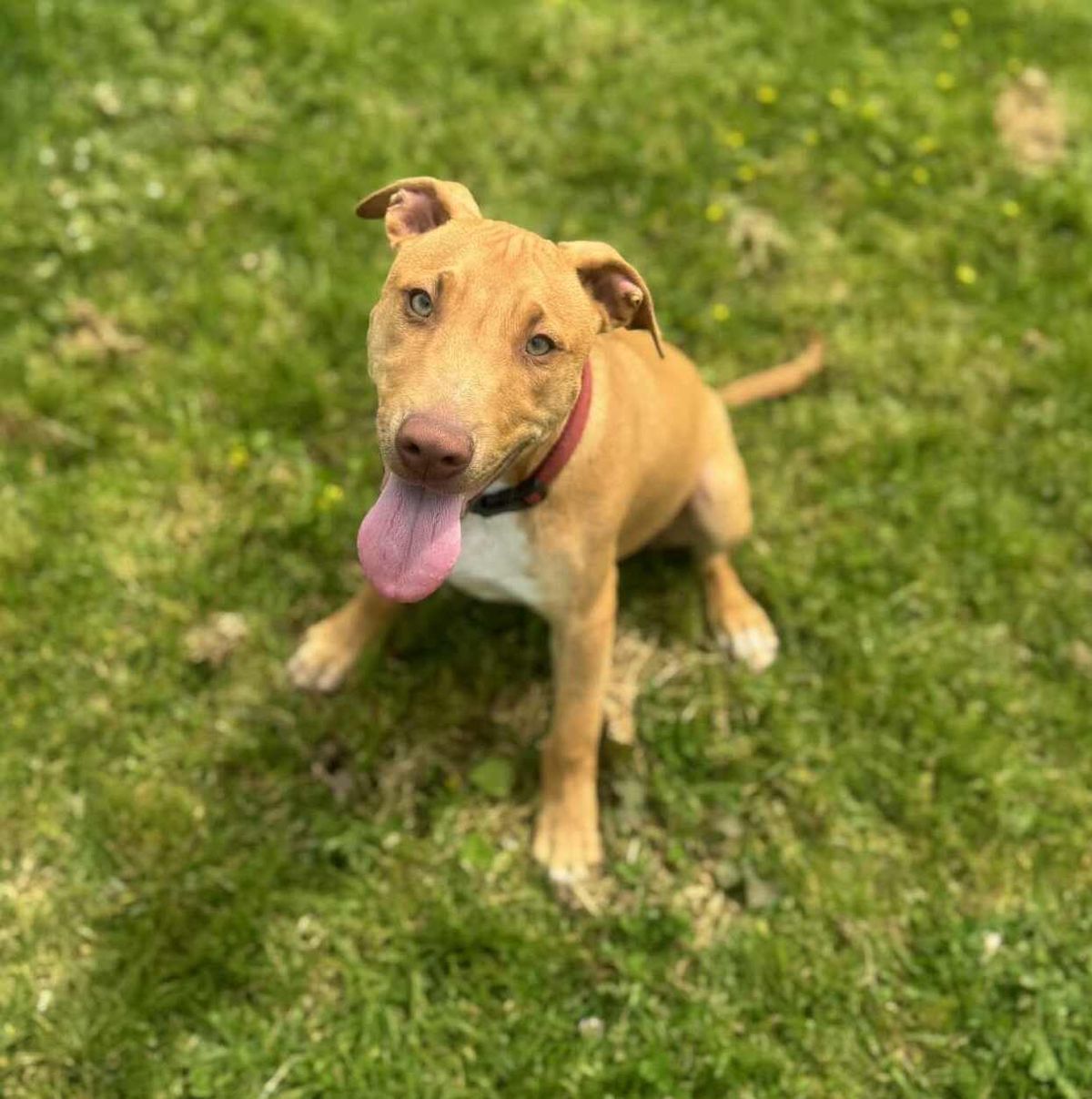 Gallery image: Bentley