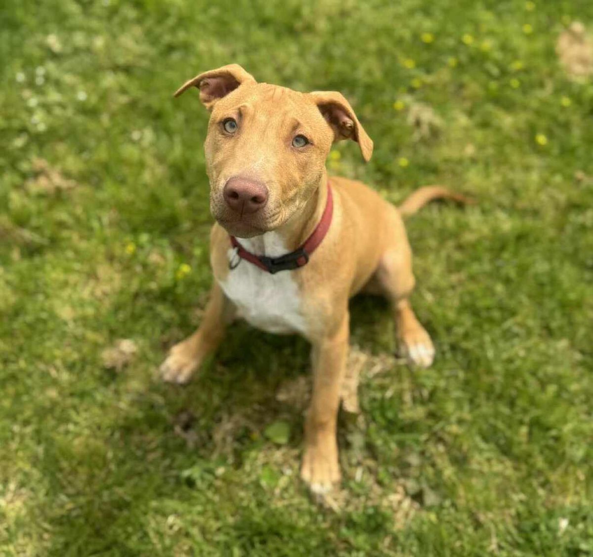 Gallery image: Bentley