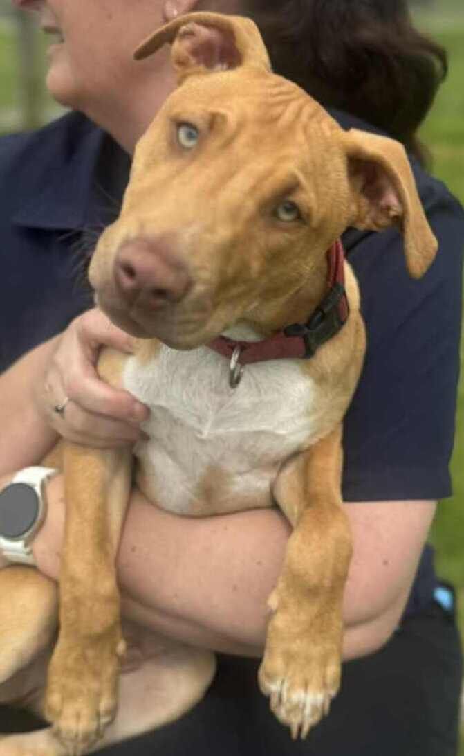 Gallery image: Bentley