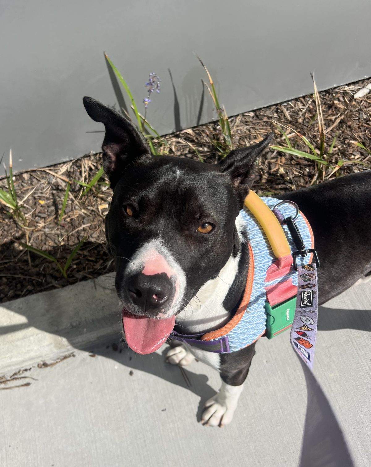 Gallery image: Stori