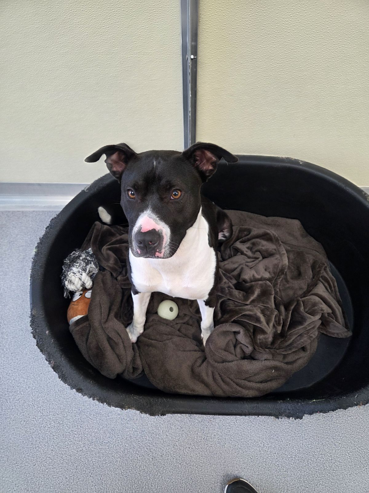 Gallery image: Stori