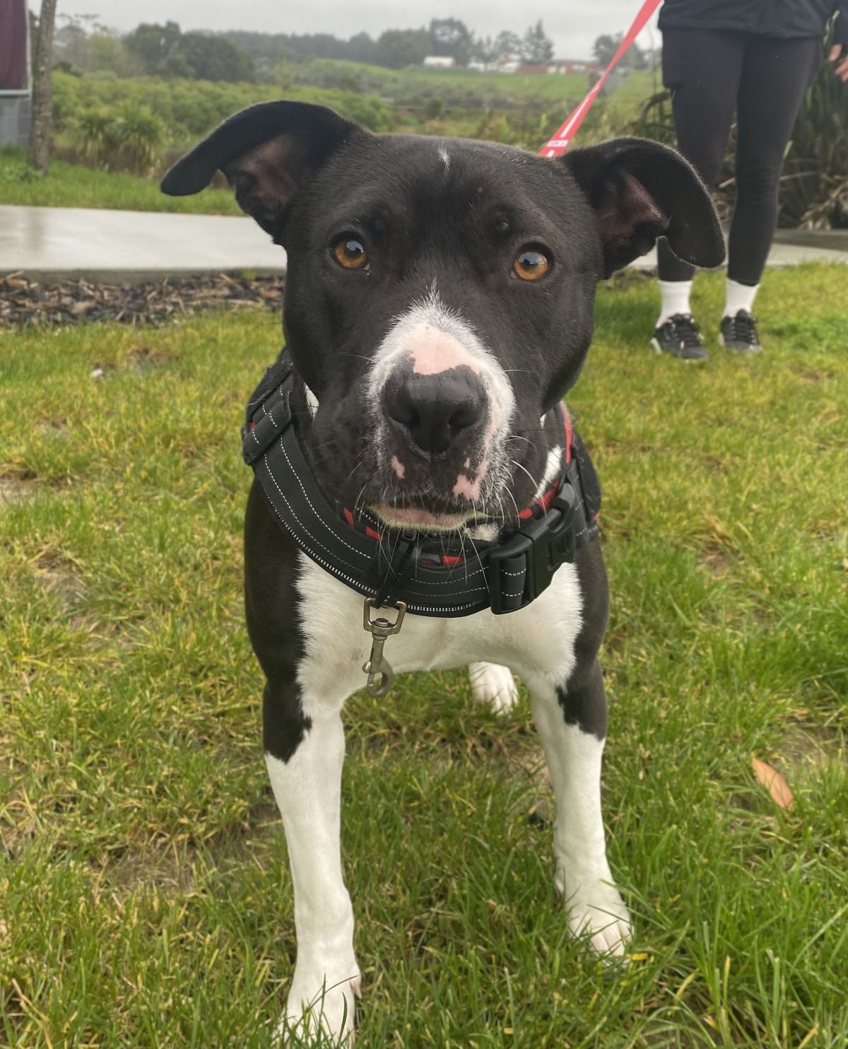 Gallery image: Stori