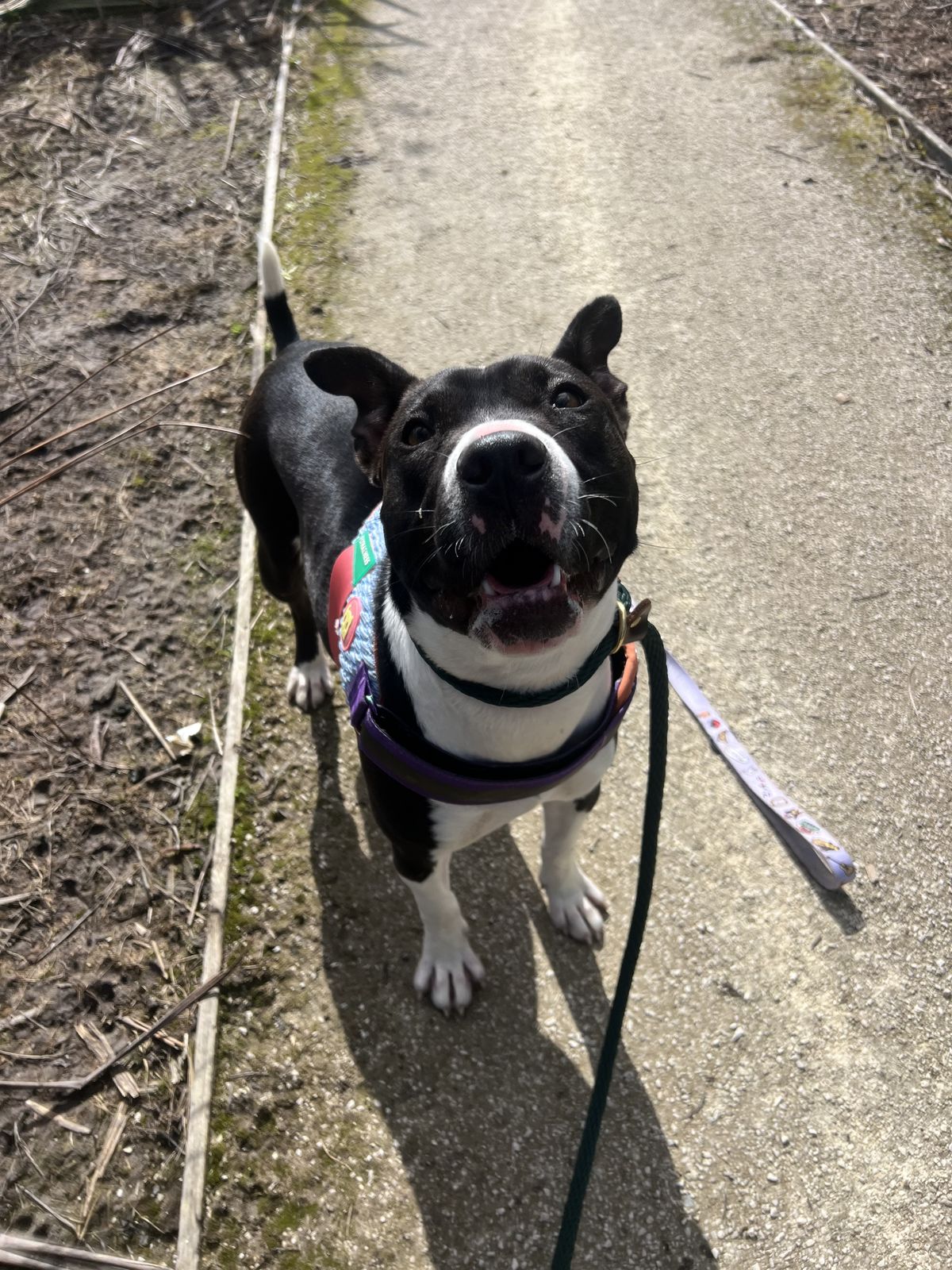 Gallery image: Stori