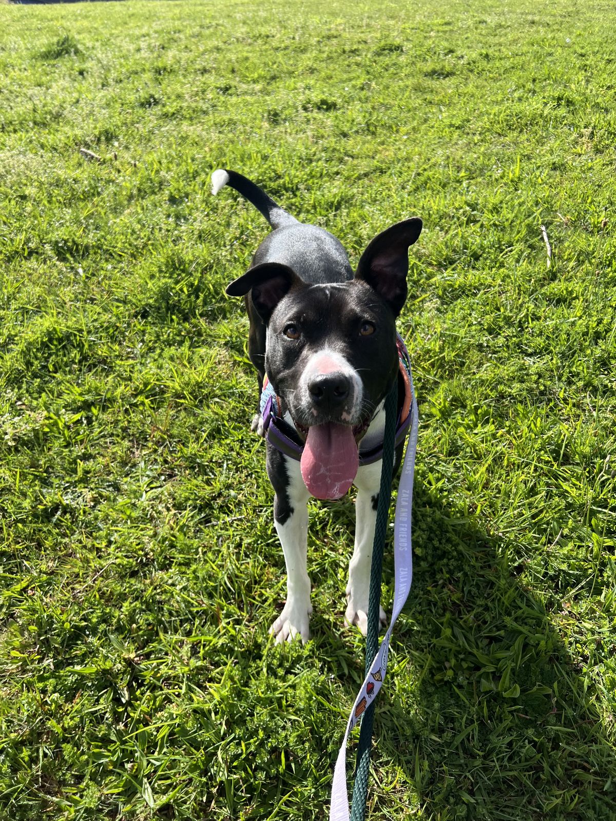 Gallery image: Stori