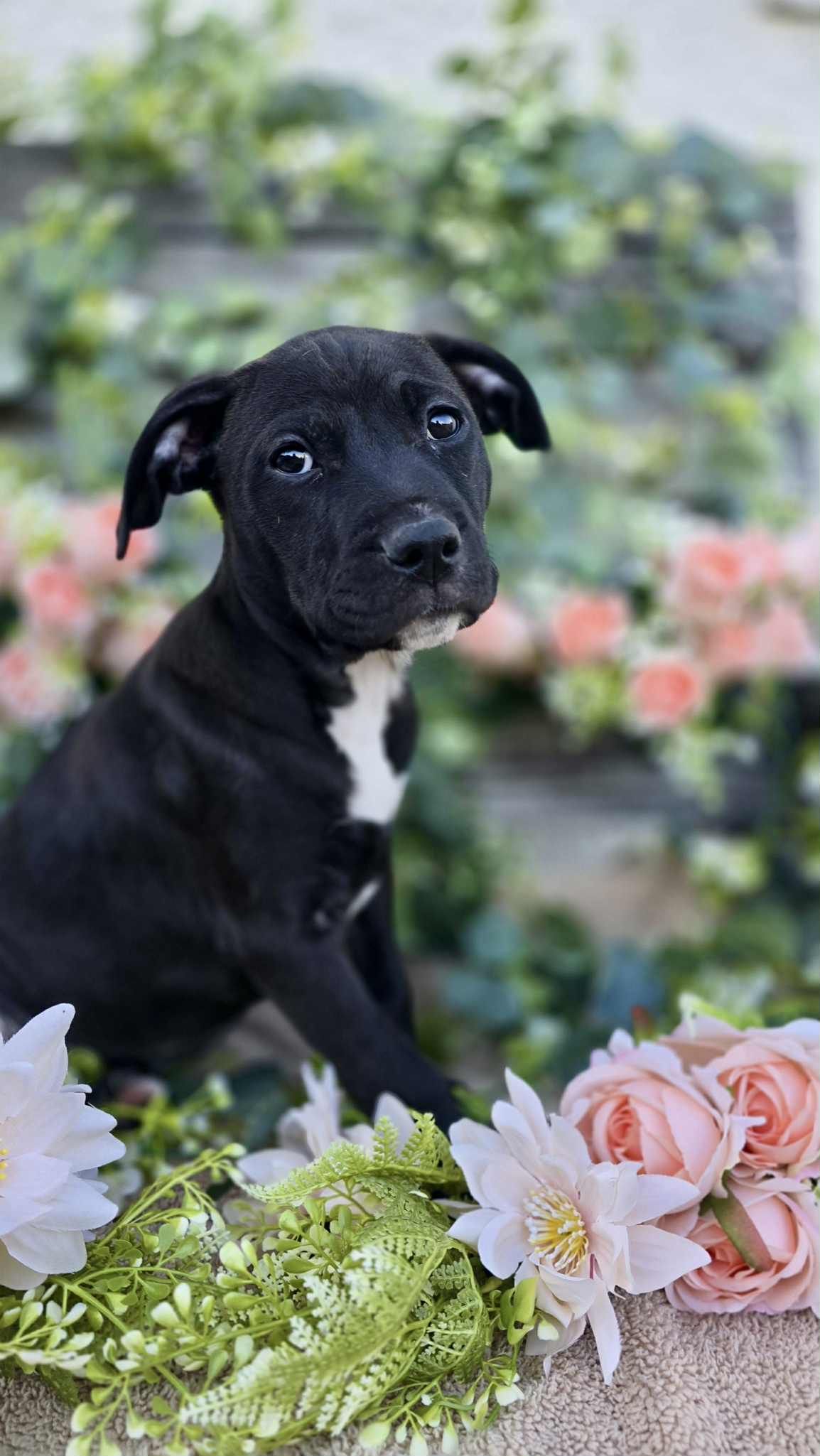 Gallery image: Matilda