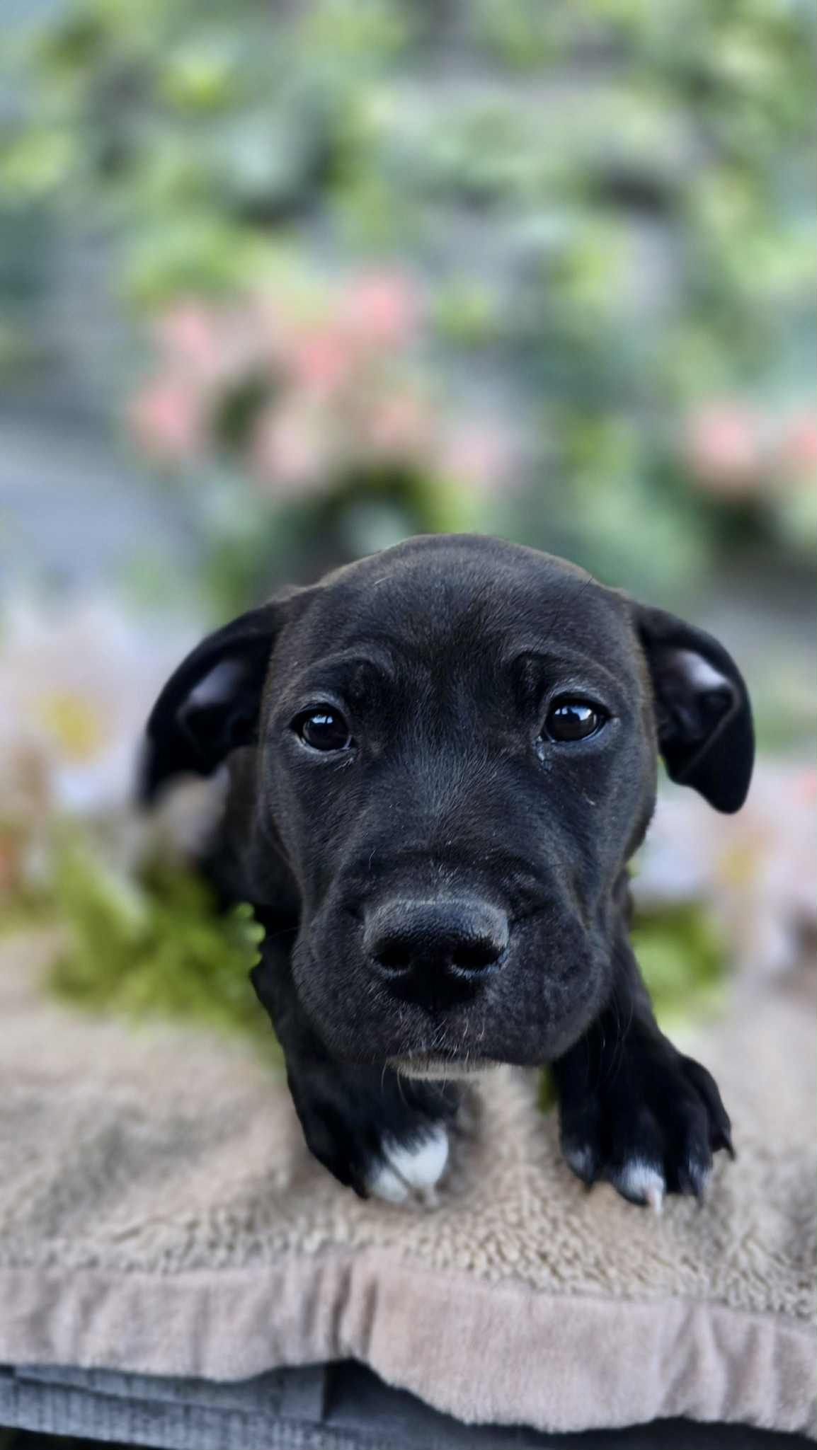 Gallery image: Matilda