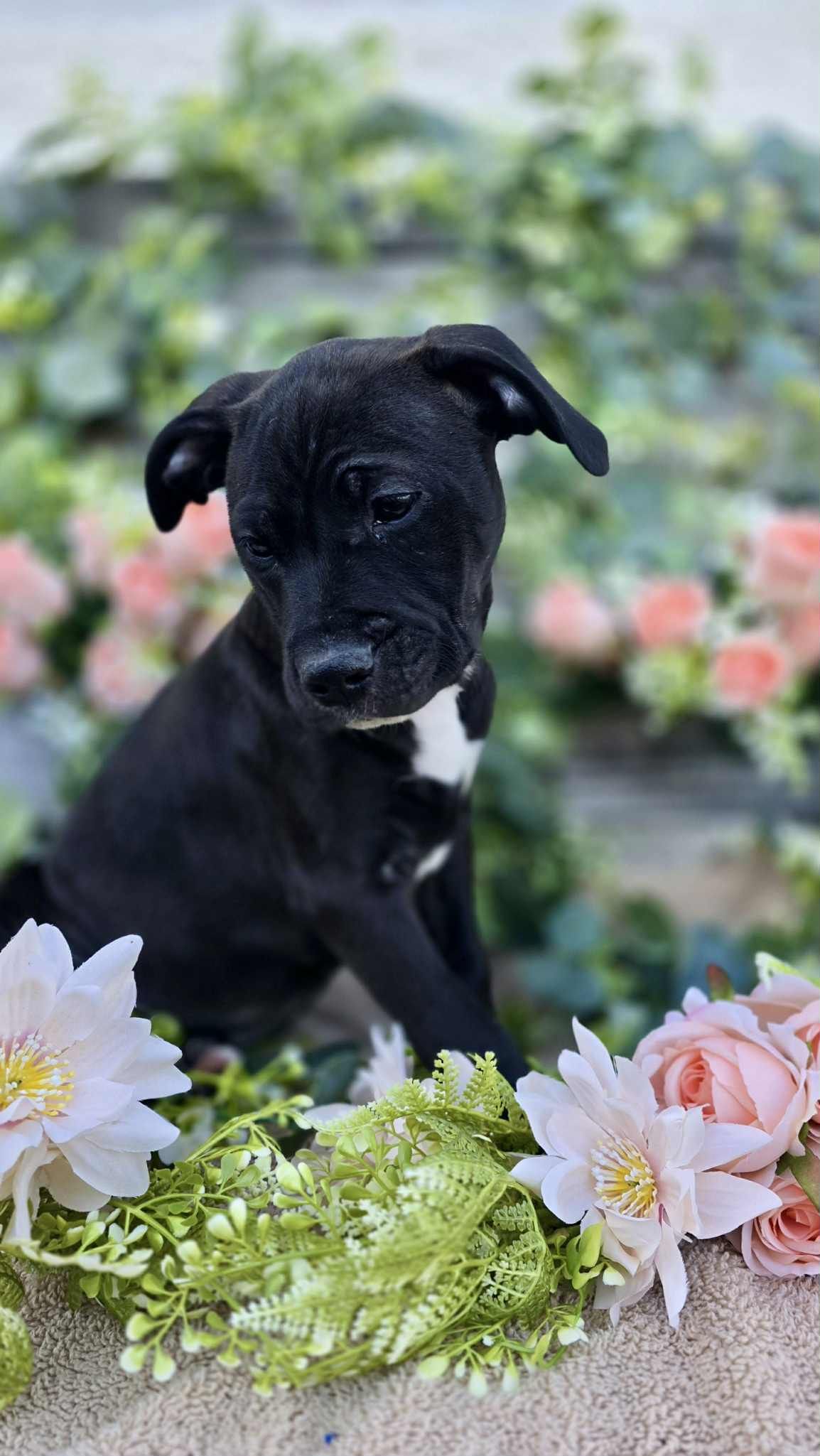 Gallery image: Matilda