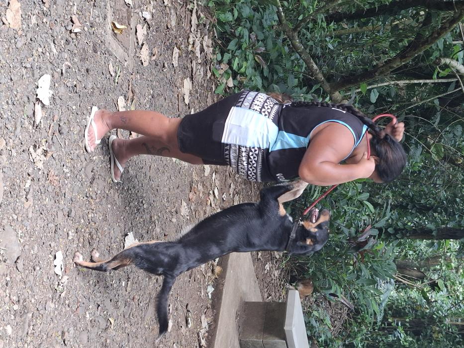Cook Islands SPCA team member and dog