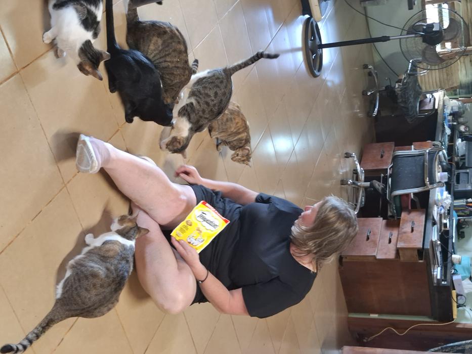 Aitutaki Animal Rescue