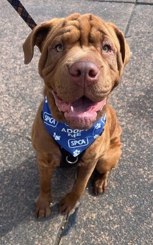 Gallery image: Tatiana