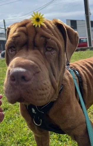 Gallery image: Tatiana