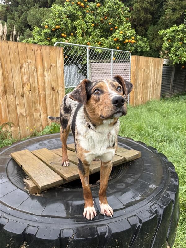 Gallery image: Diego