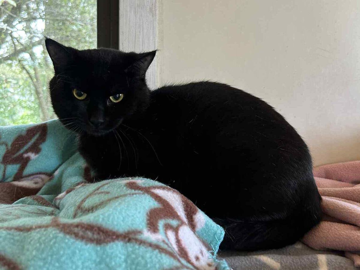 Gallery image: Marmite