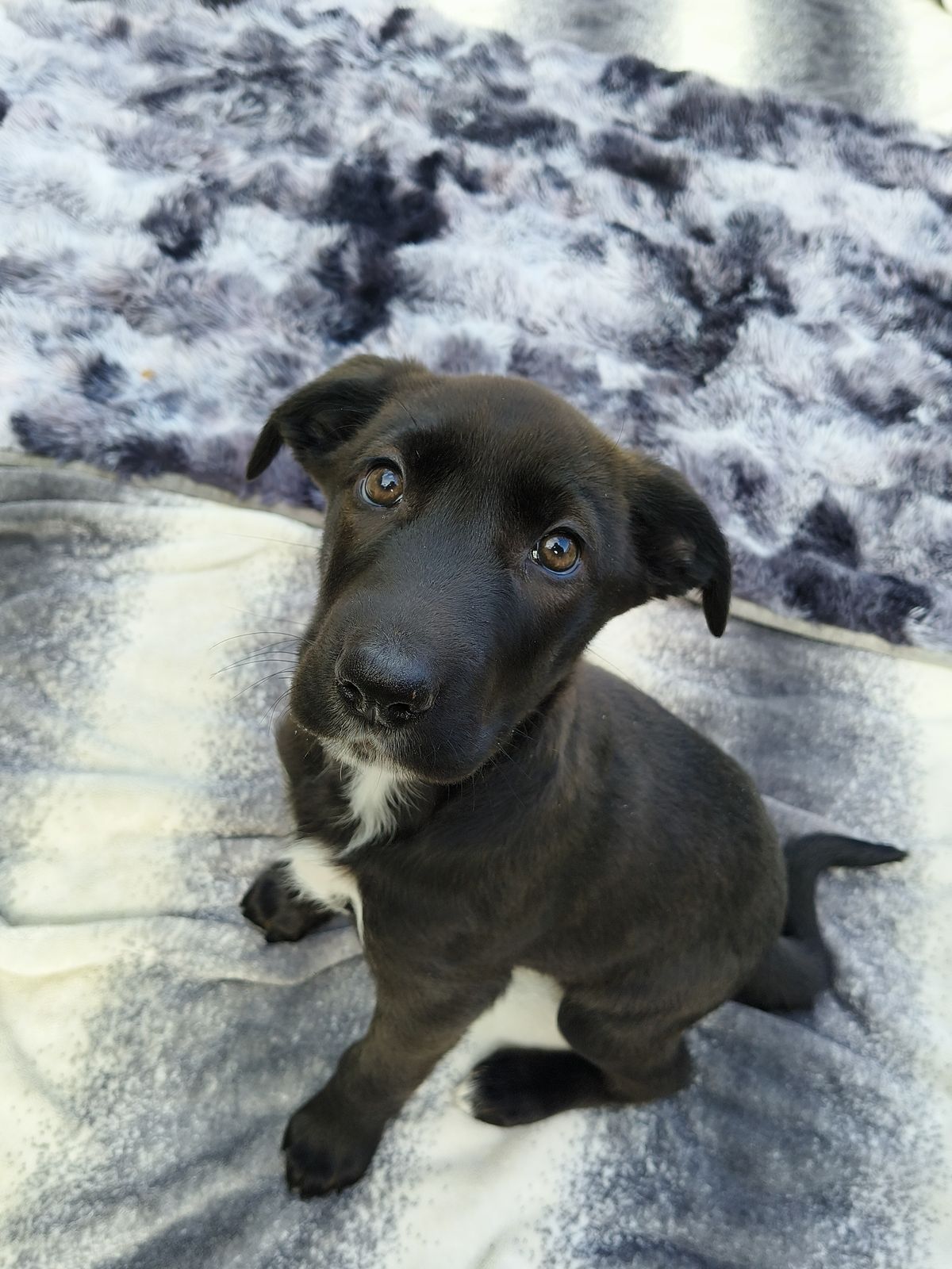 Gallery image: Marge