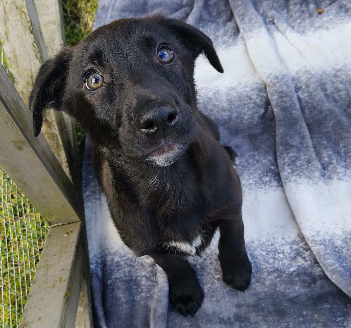 Gallery image: Homer