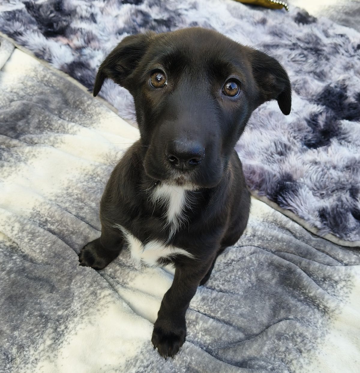 Gallery image: Marge