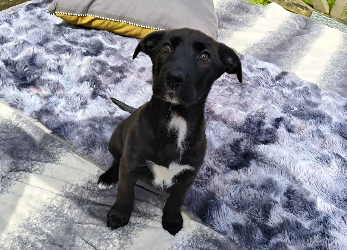 Gallery image: Marge