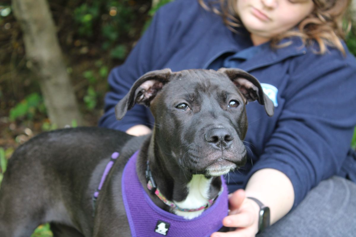 Gallery image: Matilda