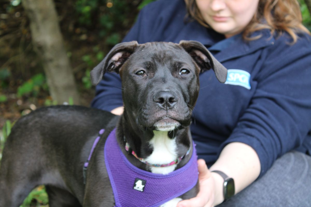 Gallery image: Matilda