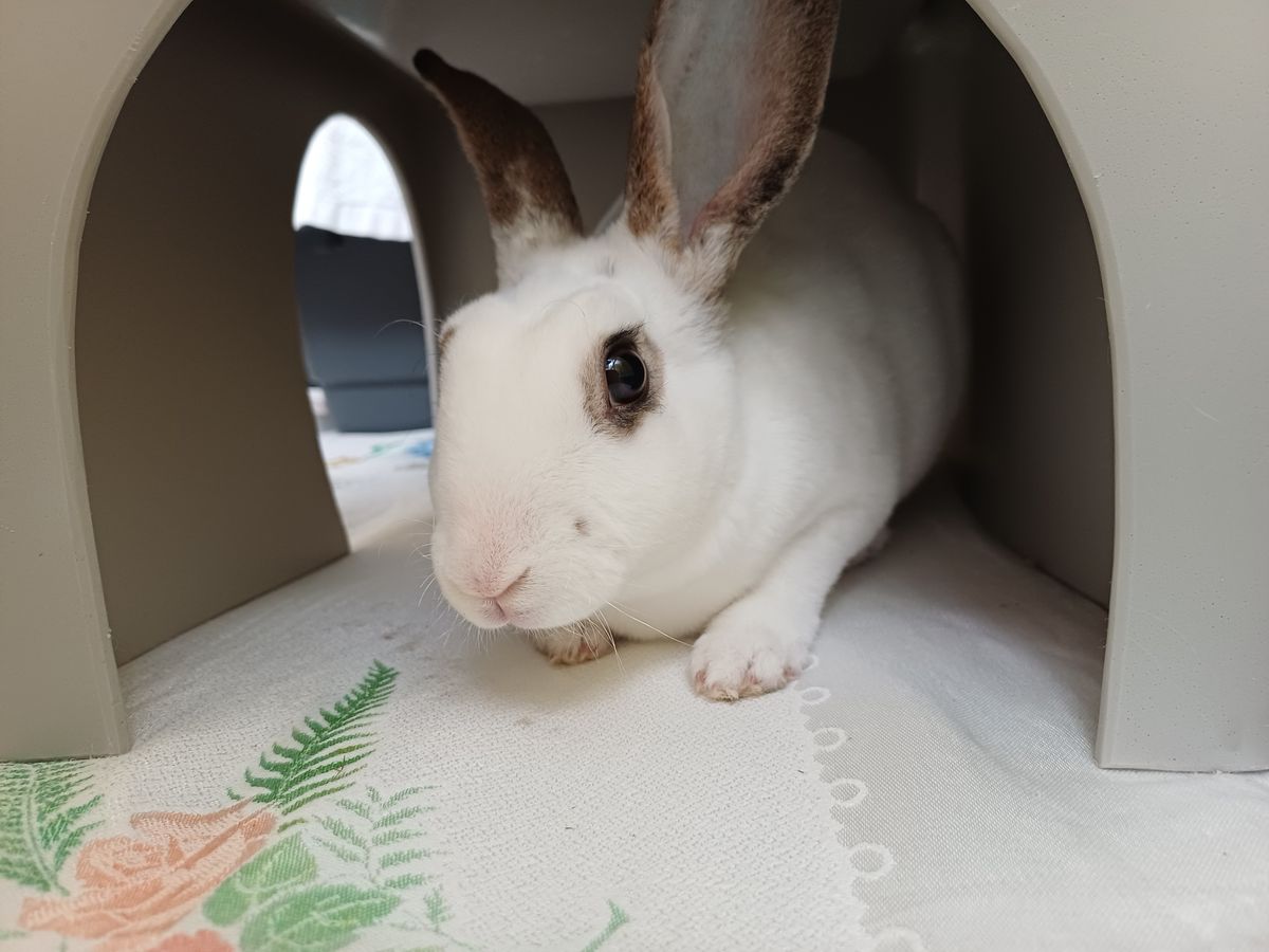 Gallery image: Porcelain