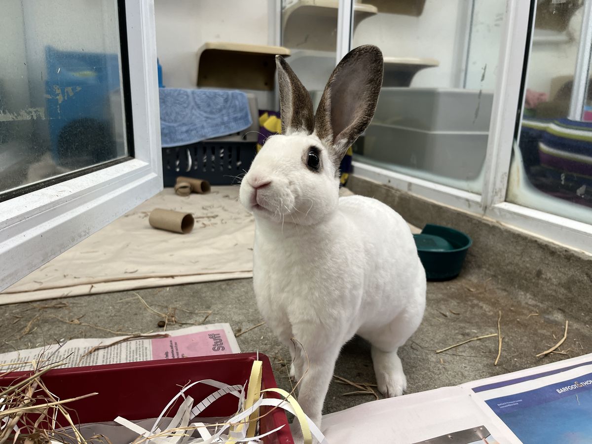 Gallery image: Porcelain