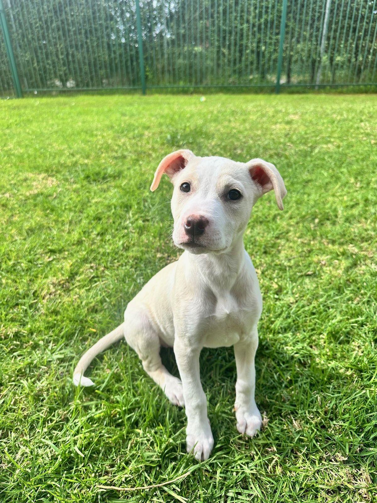 Gallery image: Phoebe