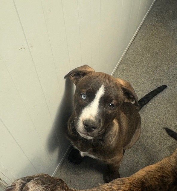 Gallery image: Jersey