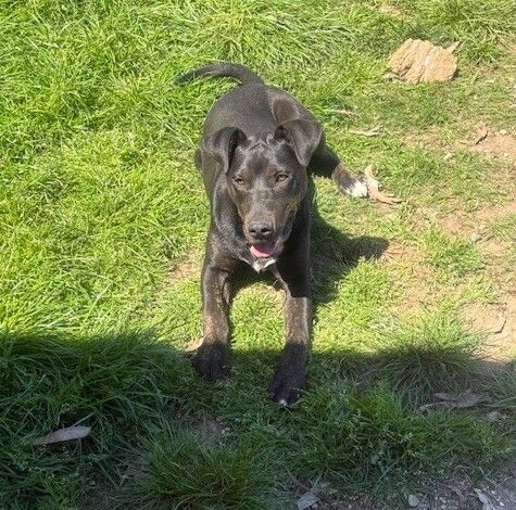 Gallery image: Junior