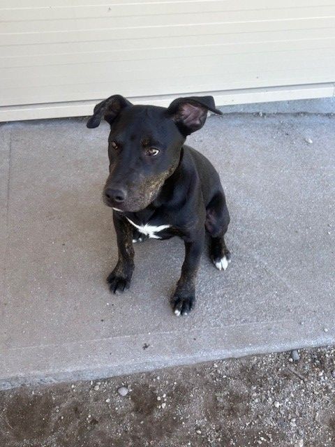 Gallery image: Junior