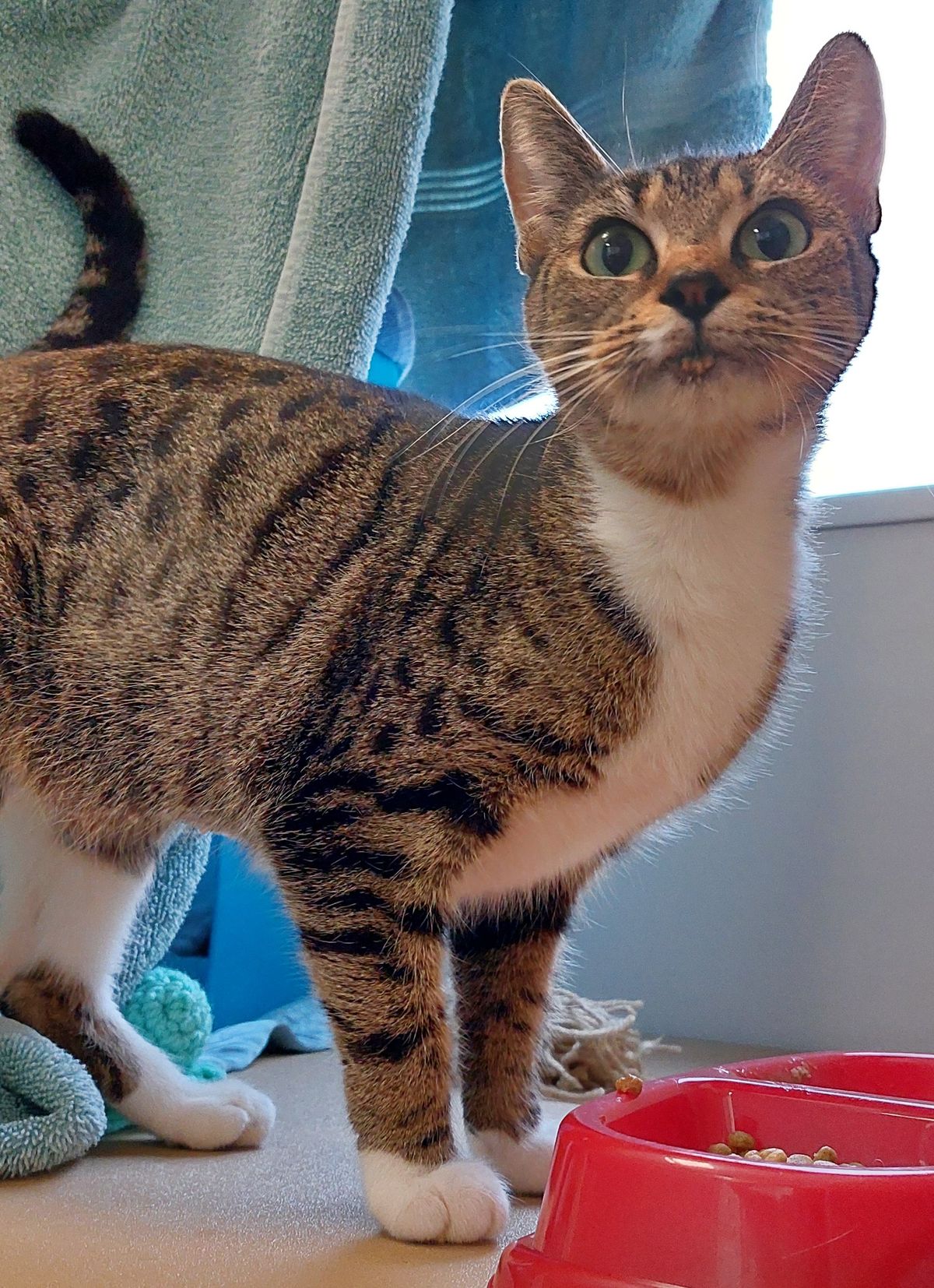 Gallery image: Autumn