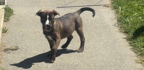 Gallery image: Jersey