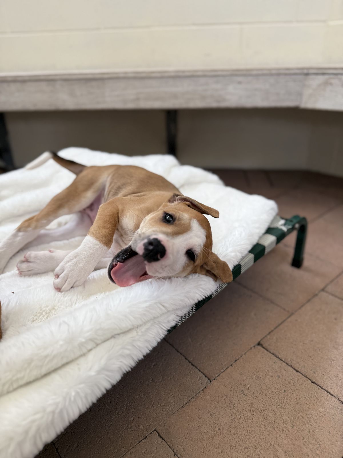 Gallery image: Peter