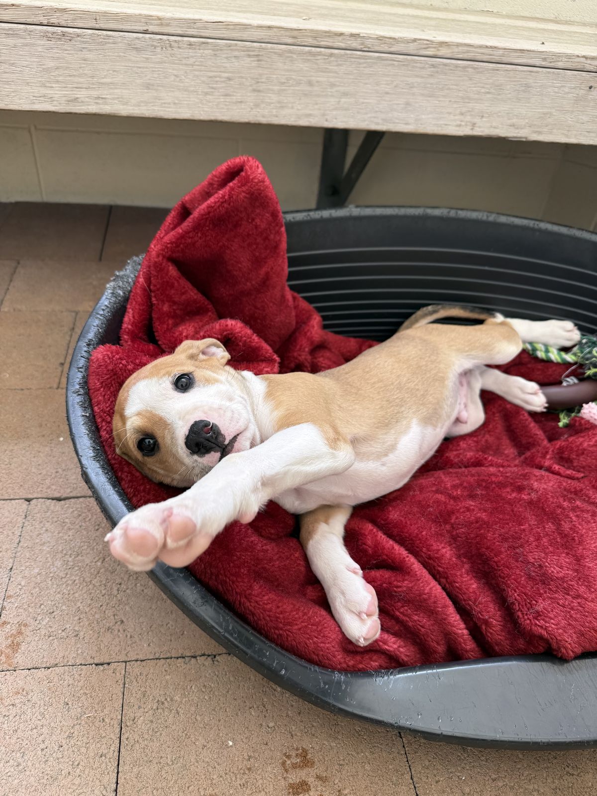 Gallery image: Peter